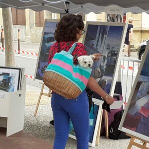 Les chevalets de la Magdeleine 2ème édition