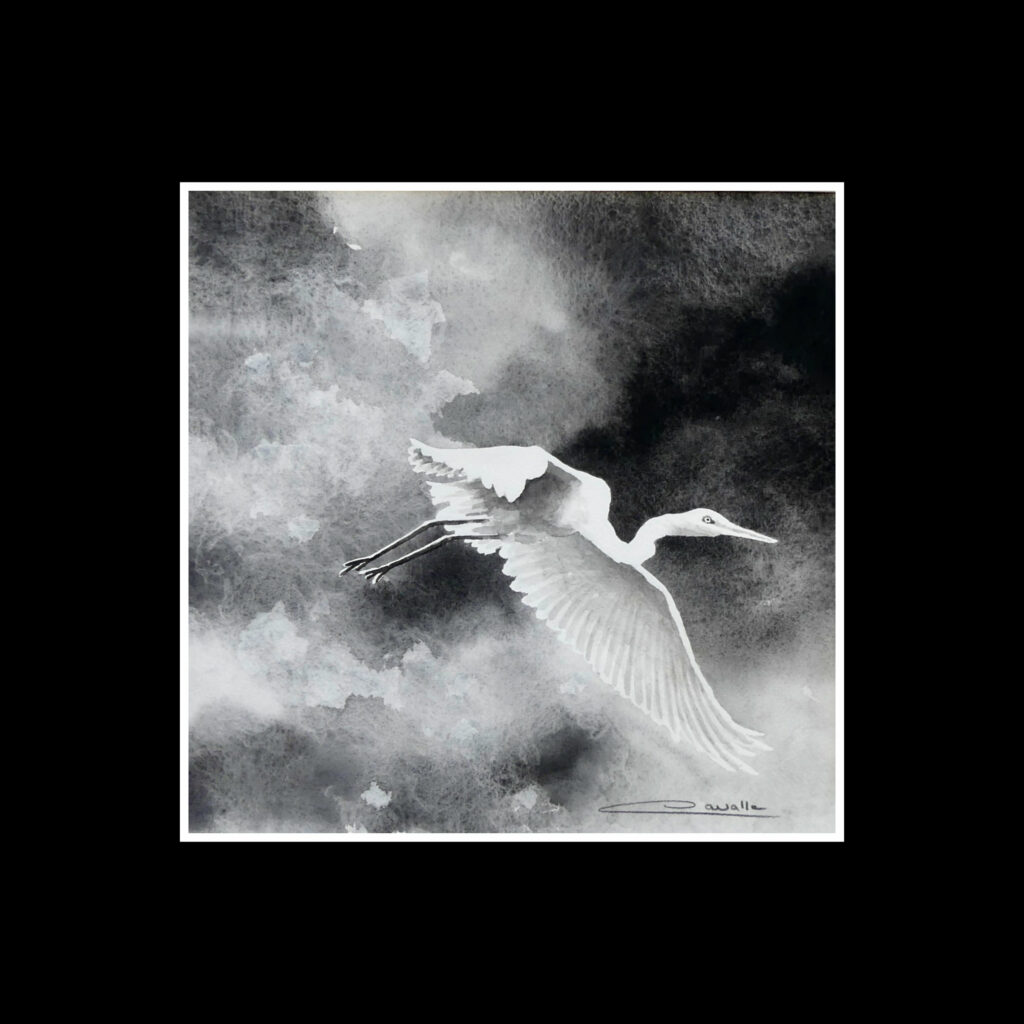 aquarelle clair obscur