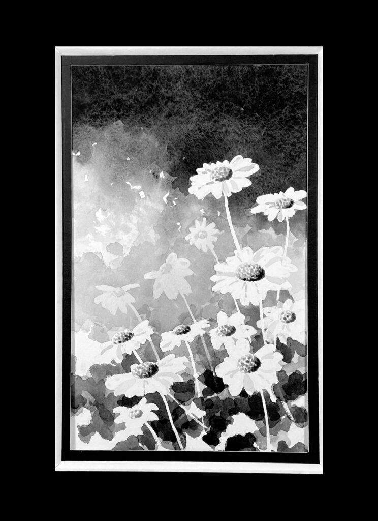 aquarelle marguerites